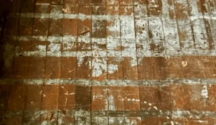 Hardwood Floor Repair